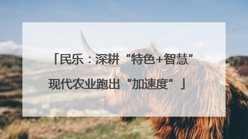民乐：深耕“特色+智慧”现代农业跑出“加速度”