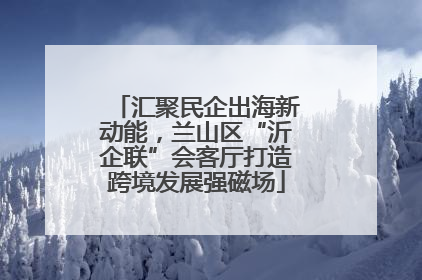 汇聚民企出海新动能，兰山区“沂企联”会客厅打造跨境发展强磁场