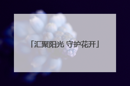 汇聚阳光 守护花开