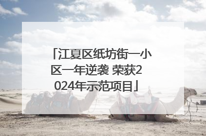 江夏区纸坊街一小区一年逆袭 荣获2024年示范项目