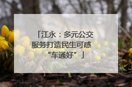 江永：多元公交服务打造民生可感“车通好”
