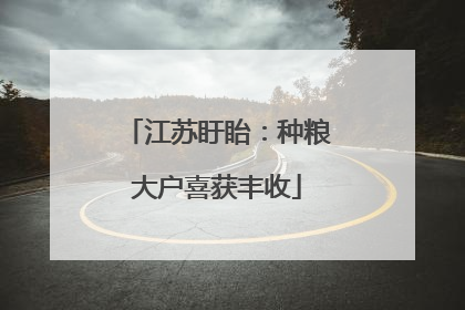 江苏盱眙：种粮大户喜获丰收