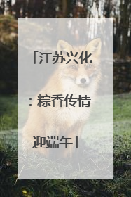 江苏兴化：粽香传情迎端午