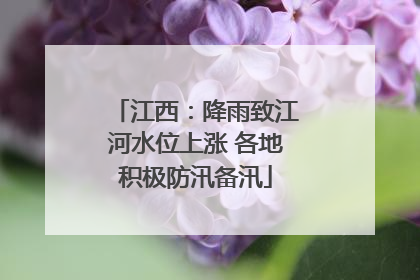 江西：降雨致江河水位上涨 各地积极防汛备汛
