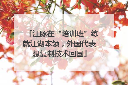 江豚在“培训班”练就江湖本领，外国代表想复制技术回国