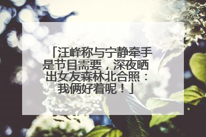 汪峰称与宁静牵手是节目需要，深夜晒出女友森林北合照：我俩好着呢！