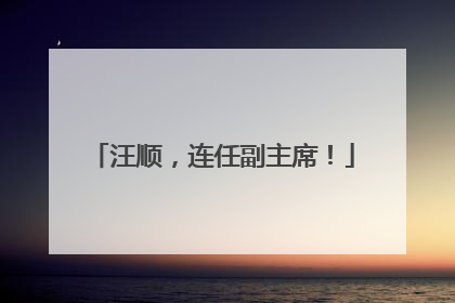 汪顺，连任副主席！