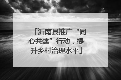 沂南县推广“同心共建”行动，提升乡村治理水平