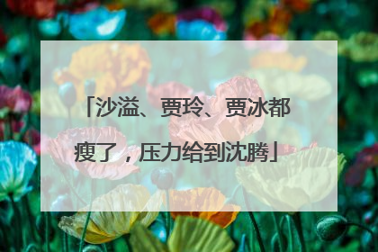 沙溢、贾玲、贾冰都瘦了，压力给到沈腾