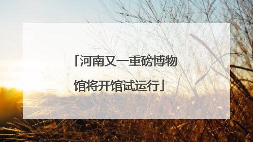 河南又一重磅博物馆将开馆试运行