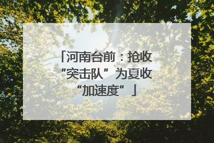 河南台前：抢收“突击队”为夏收“加速度”
