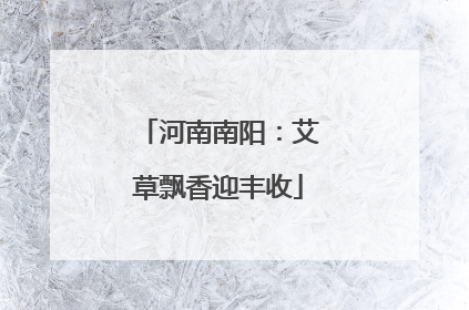 河南南阳：艾草飘香迎丰收