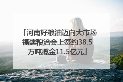 河南好粮油迈向大市场 福建粮洽会上签约38.5万吨揽金11.5亿元