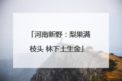河南新野：梨果满枝头 林下土生金