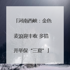 河南西峡：金色麦浪迎丰收 多措并举保“三夏”