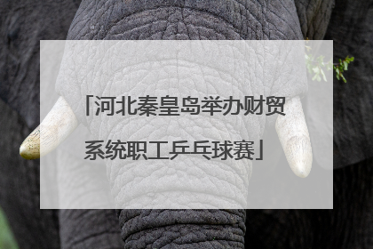 河北秦皇岛举办财贸系统职工乒乓球赛