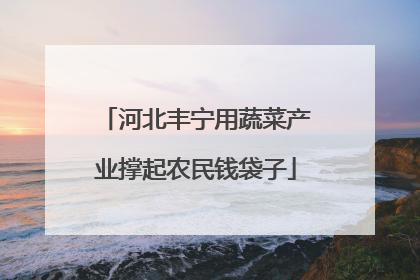 河北丰宁用蔬菜产业撑起农民钱袋子