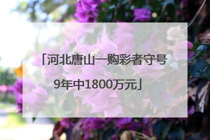 河北唐山一购彩者守号9年中1800万元