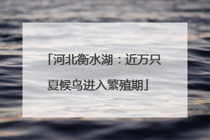 河北衡水湖：近万只夏候鸟进入繁殖期