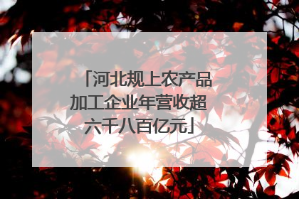 河北规上农产品加工企业年营收超六千八百亿元