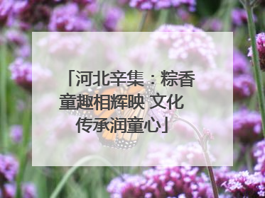 河北辛集：粽香童趣相辉映 文化传承润童心