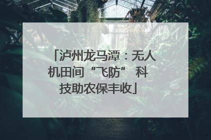 泸州龙马潭：无人机田间“飞防” 科技助农保丰收