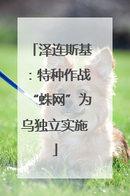 泽连斯基：特种作战“蛛网”为乌独立实施