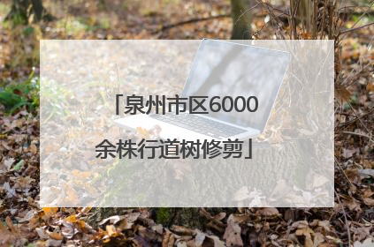 泉州市区6000余株行道树修剪