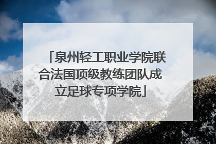 泉州轻工职业学院联合法国顶级教练团队成立足球专项学院