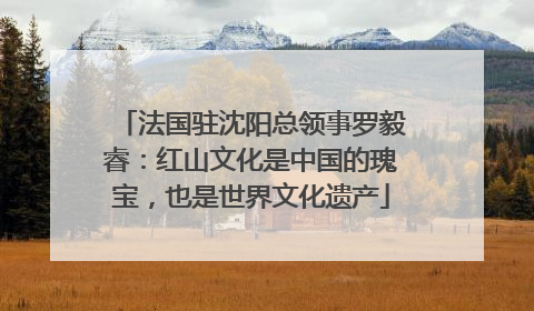 法国驻沈阳总领事罗毅睿：红山文化是中国的瑰宝，也是世界文化遗产