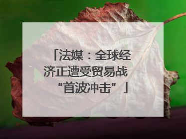 法媒：全球经济正遭受贸易战“首波冲击”