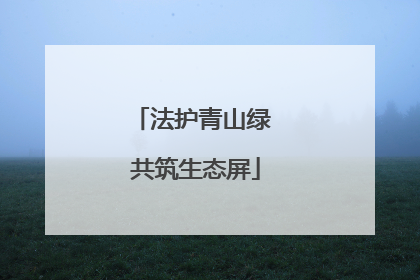 法护青山绿 共筑生态屏