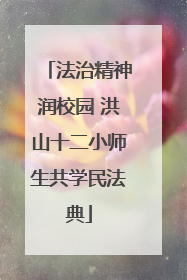 法治精神润校园 洪山十二小师生共学民法典