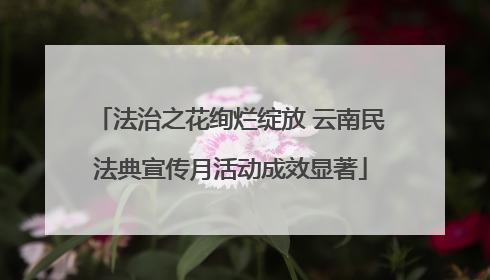 法治之花绚烂绽放 云南民法典宣传月活动成效显著