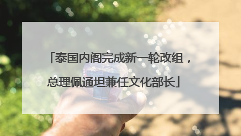 泰国内阁完成新一轮改组，总理佩通坦兼任文化部长