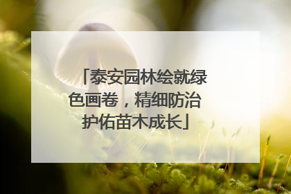 泰安园林绘就绿色画卷，精细防治护佑苗木成长