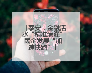 泰安：金融活水“精准滴灌” 民企发展“加速快跑”
