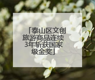 泰山区文创旅游商品连续3年斩获国家级金奖