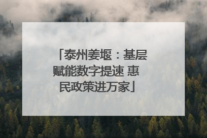 泰州姜堰：基层赋能数字提速 惠民政策进万家