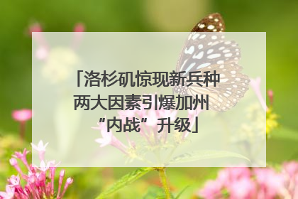 洛杉矶惊现新兵种 两大因素引爆加州“内战”升级