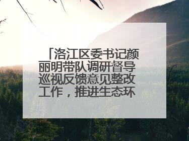 洛江区委书记颜丽明带队调研督导巡视反馈意见整改工作，推进生态环境保护建设