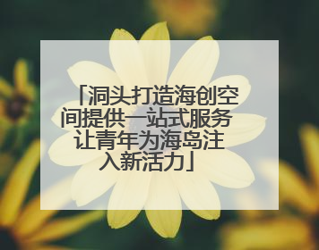 洞头打造海创空间提供一站式服务 让青年为海岛注入新活力