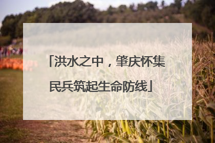 洪水之中，肇庆怀集民兵筑起生命防线