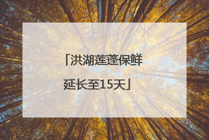 洪湖莲蓬保鲜延长至15天