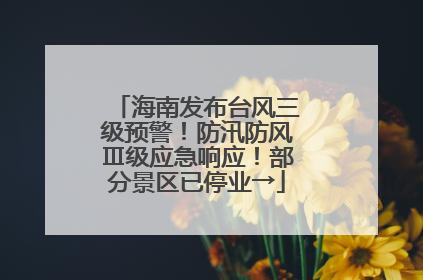 海南发布台风三级预警！防汛防风Ⅲ级应急响应！部分景区已停业→