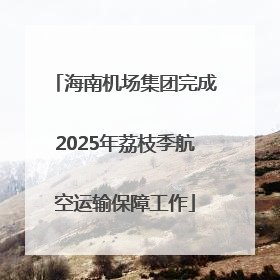 海南机场集团完成2025年荔枝季航空运输保障工作