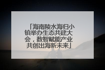海南陵水海归小镇举办生态共建大会，数智赋能产业共创出海新未来