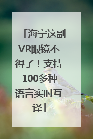 海宁这副VR眼镜不得了！支持100多种语言实时互译