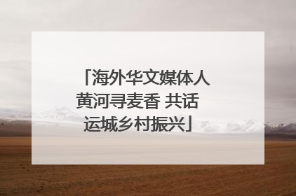 海外华文媒体人黄河寻麦香 共话运城乡村振兴
