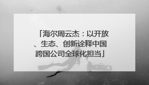 海尔周云杰：以开放、生态、创新诠释中国跨国公司全球化担当